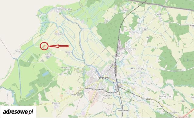 Działka rolna Klejnowo. Zdjęcie 1