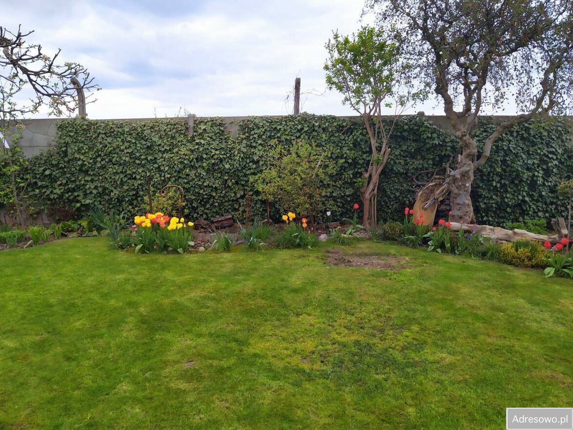 Działka rod Gliwice. Zdjęcie 2