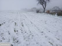 Działka budowlana Pięczkowo, ul. Wrzesińska. Zdjęcie 3