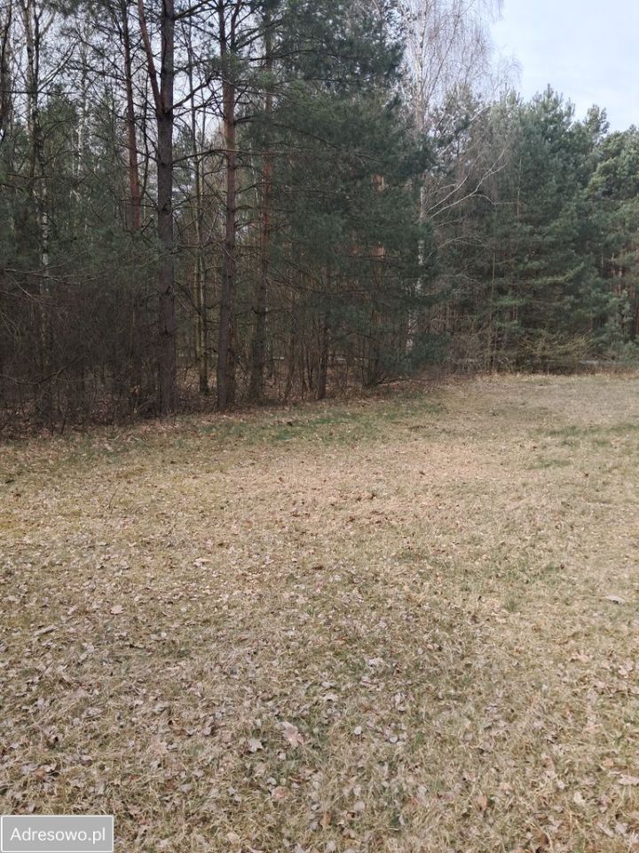 Działka budowlana Kurzelów. Zdjęcie 8