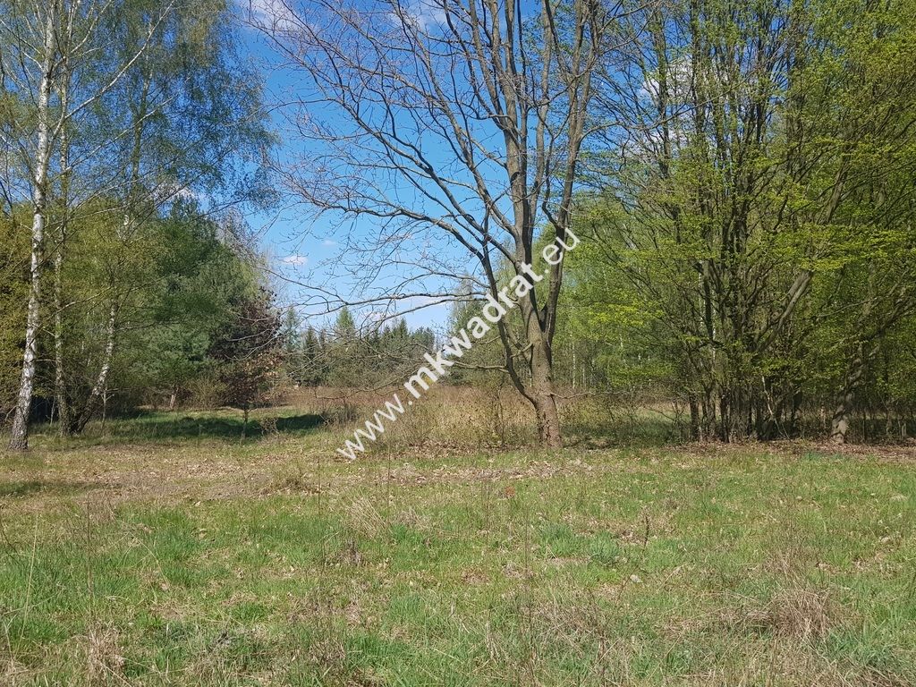 Działka budowlana Budy Mszczonowskie. Zdjęcie 7