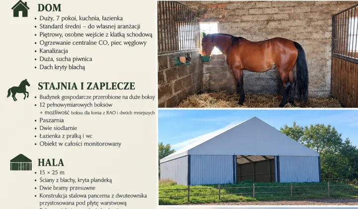 siedlisko, 7 pokoi Piotrówka, ul. Kościuszki