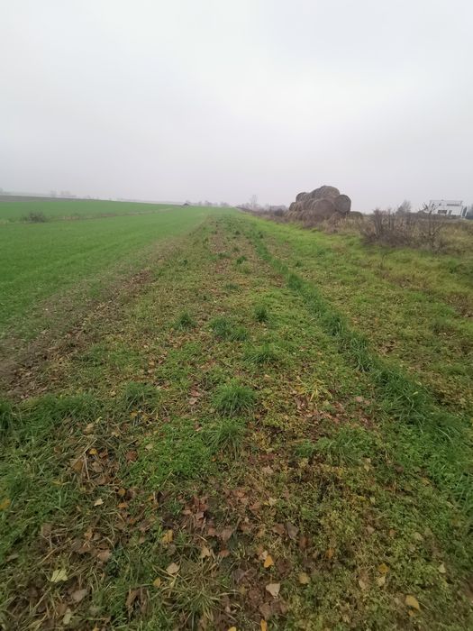 Działka budowlana Adamowo. Zdjęcie 8