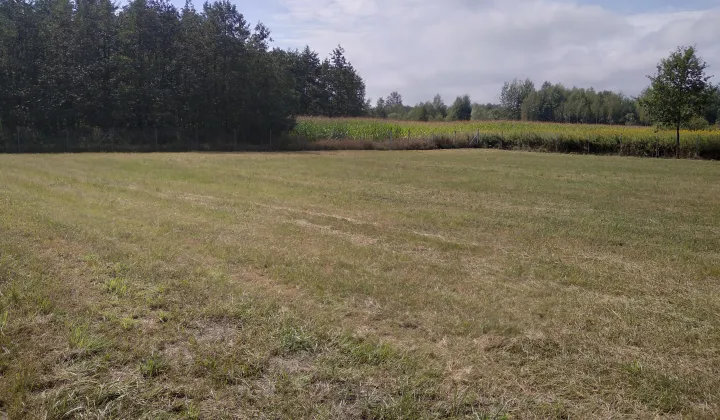 Działka rolno-budowlana Lubasz