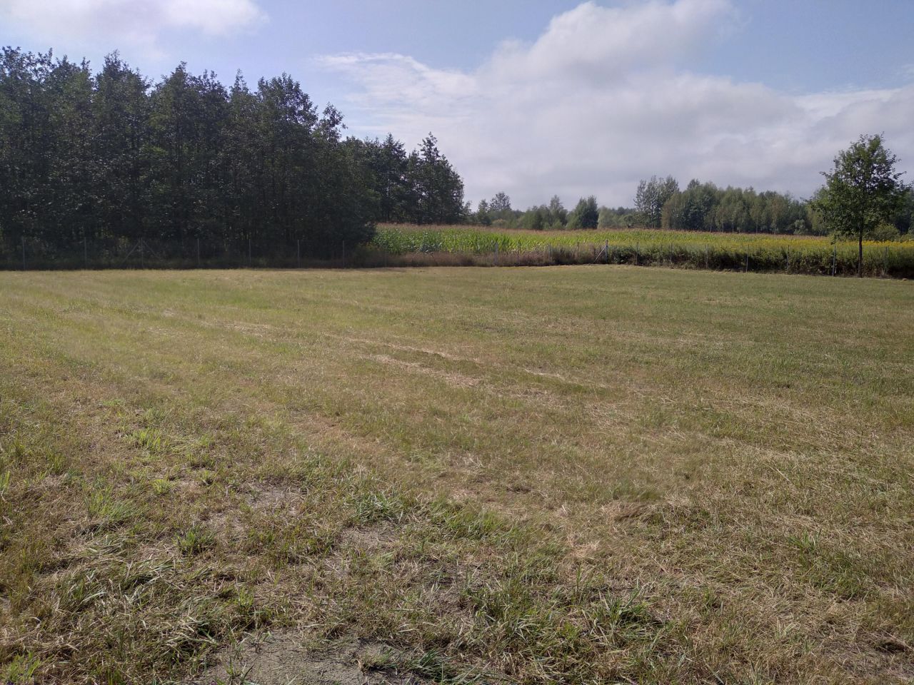 Działka rolno-budowlana Lubasz. Zdjęcie 1