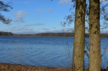 Działka rekreacyjna Dąbrówno, Wzgórze Letniskowe Dąbrowa. Zdjęcie 4