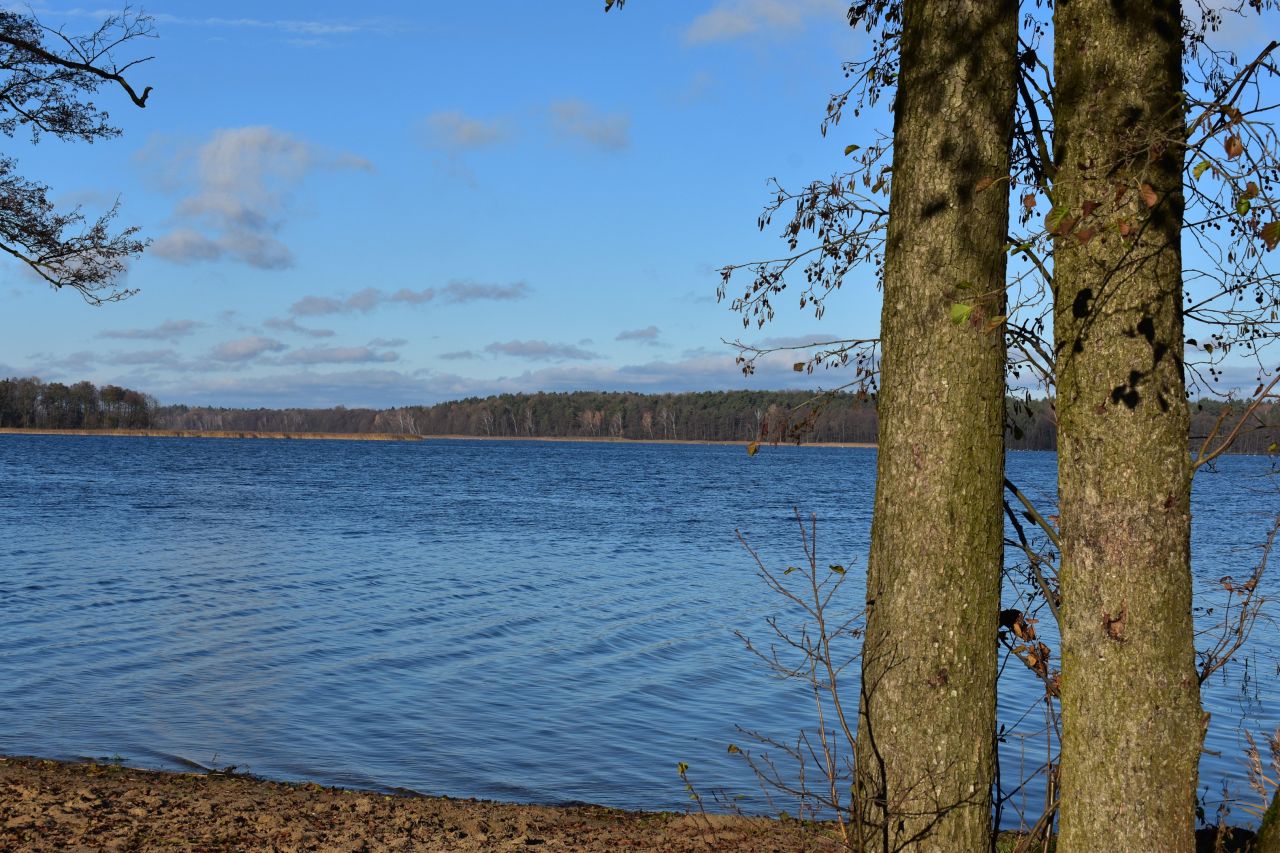 Działka rekreacyjna Dąbrówno, Wzgórze Letniskowe Dąbrowa. Zdjęcie 5