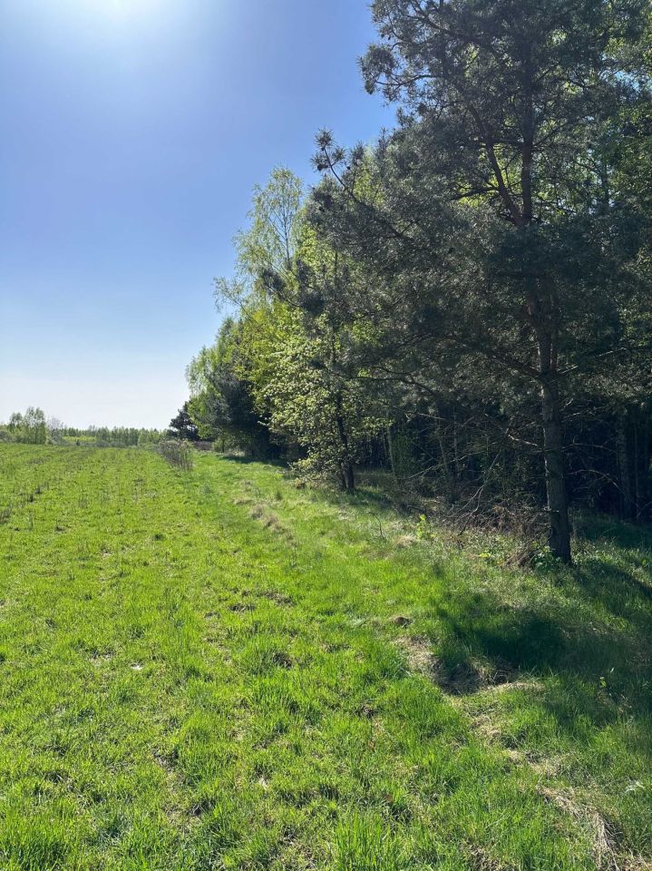 Działka rolno-budowlana Borków. Zdjęcie 8