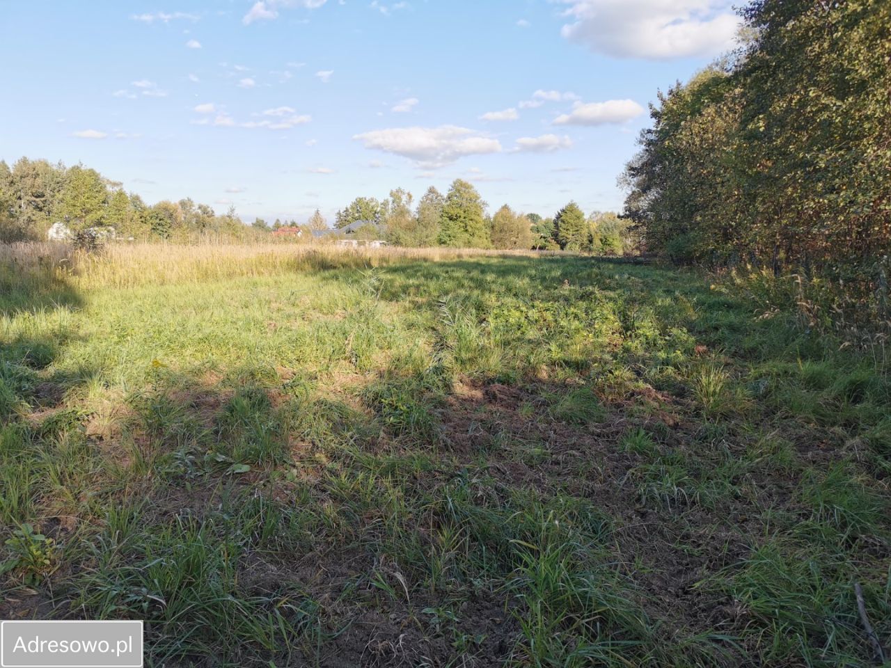 Działka budowlana Siedliska. Zdjęcie 4