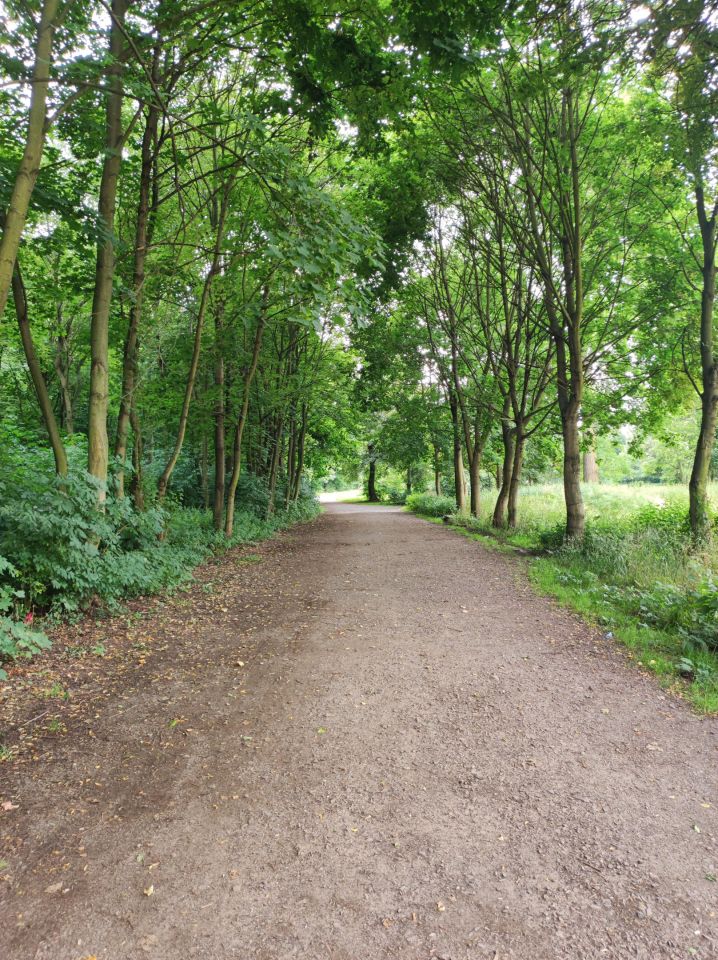 Mieszkanie 3-pokojowe Wałbrzych Stary Zdrój, ul. 11 Listopada. Zdjęcie 37