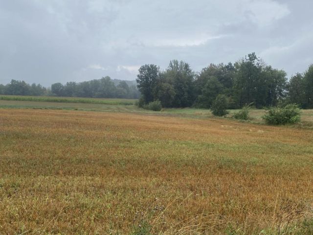 Działka budowlana Wola Łużańska. Zdjęcie 2