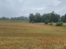 Działka budowlana Wola Łużańska. Zdjęcie 1