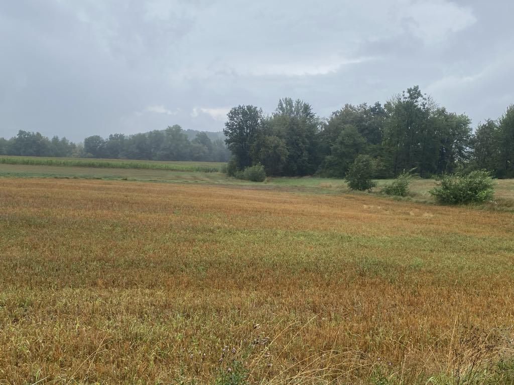 Działka budowlana Wola Łużańska. Zdjęcie 2