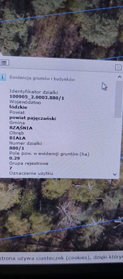 Działka leśna Biała. Zdjęcie 2
