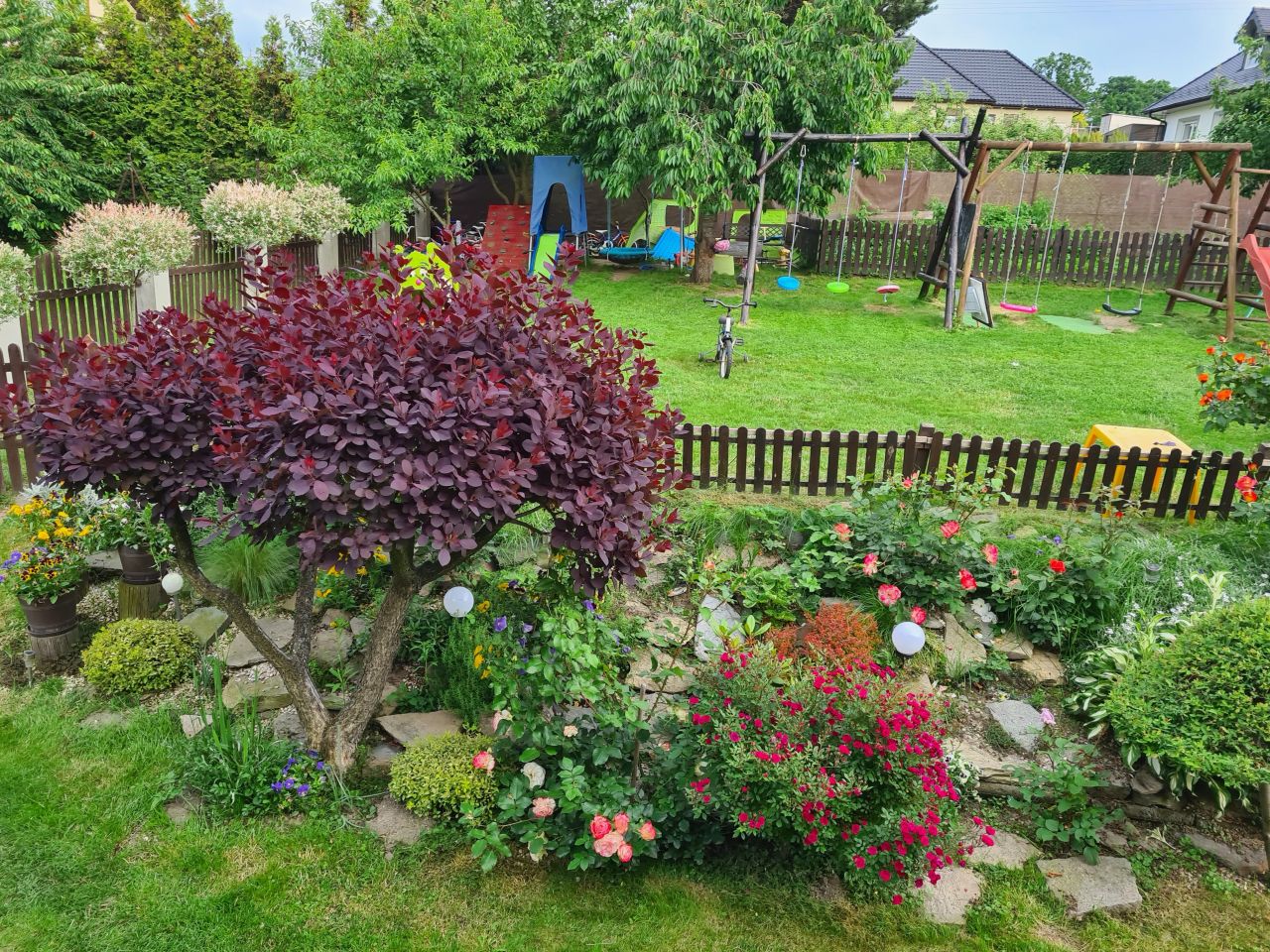 dom wolnostojący, 8 pokoi Strzelin, ul. Jana Krasińskiego. Zdjęcie 7