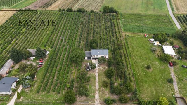 dom wolnostojący, 4 pokoje Świdno. Zdjęcie 27