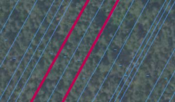 Działka leśna Nieciecz