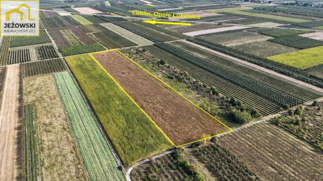 Działka rolna Kamień. Zdjęcie 2