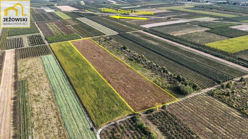 Działka rolna Kamień. Zdjęcie 2