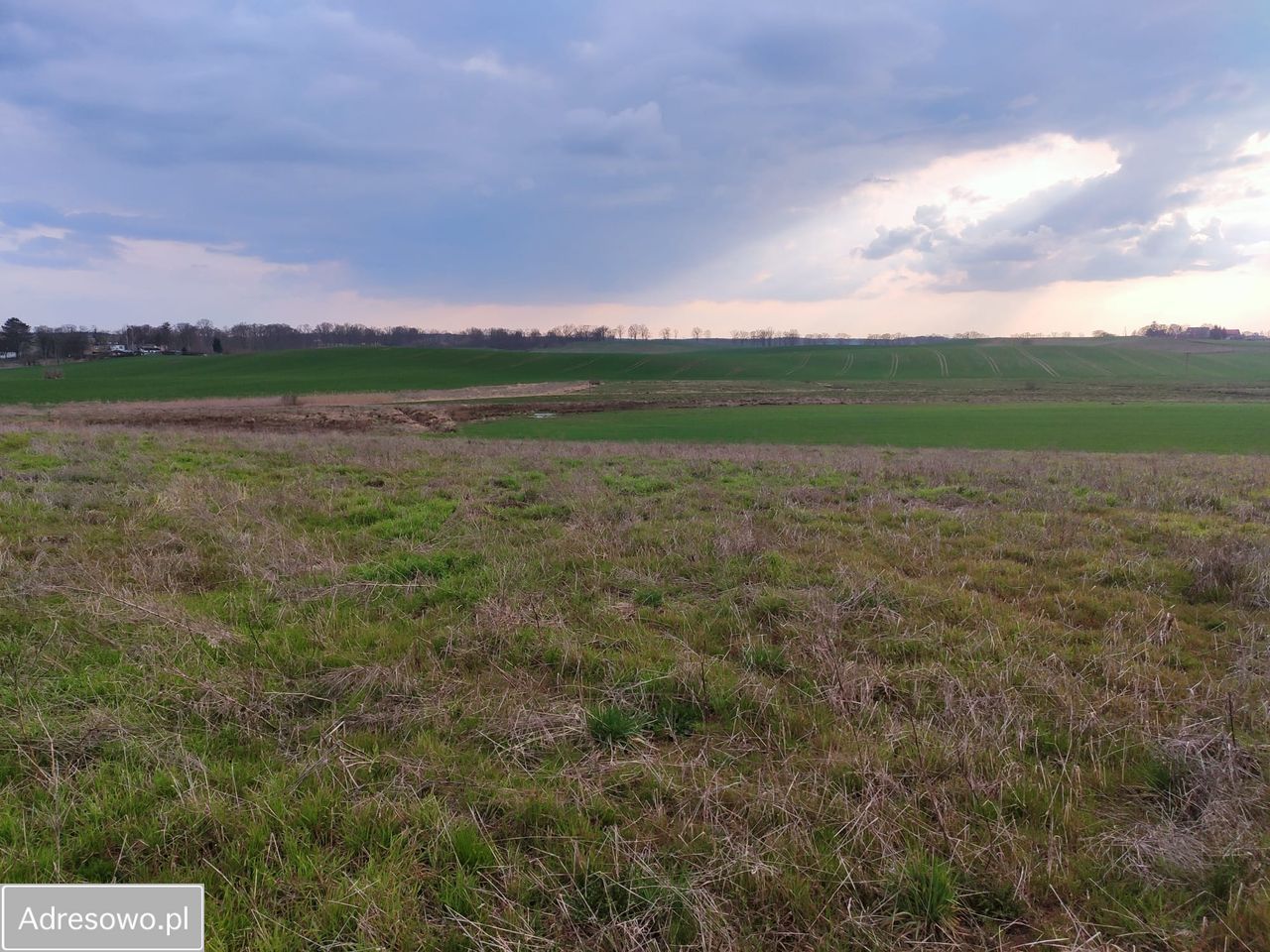 Działka budowlana Sząbruk. Zdjęcie 9
