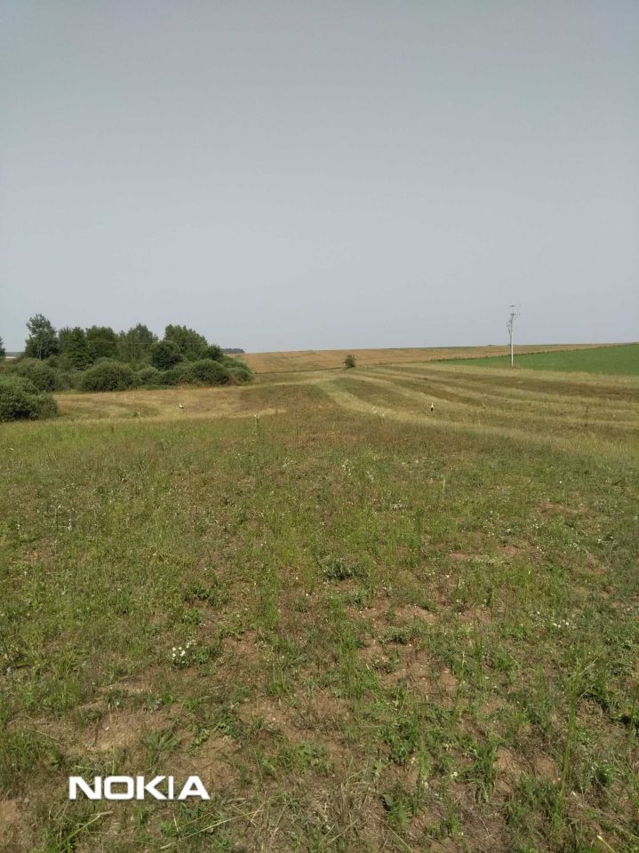 Działka budowlana Przebród. Zdjęcie 7