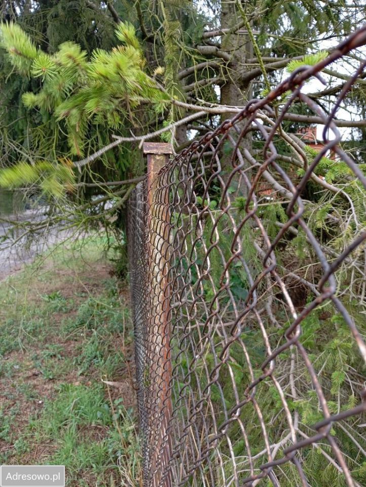 Działka budowlana Grudziądz Owczarki, ul. Jesionowa. Zdjęcie 16