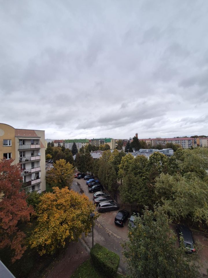 Mieszkanie 2-pokojowe Biała Podlaska, ul. Kazimierza Jagiellończyka. Zdjęcie 3