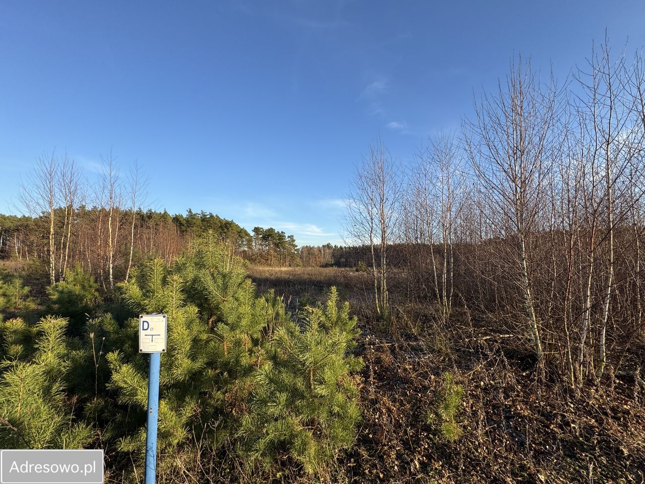Działka budowlana Charzykowy. Zdjęcie 2