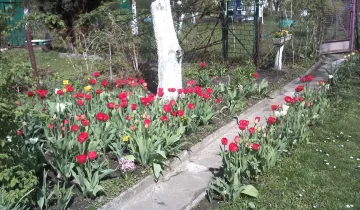 Działka na sprzedaż bez pośredników          
          
            ul. Handlowa          
          
            Racibórz - Ansicht 5