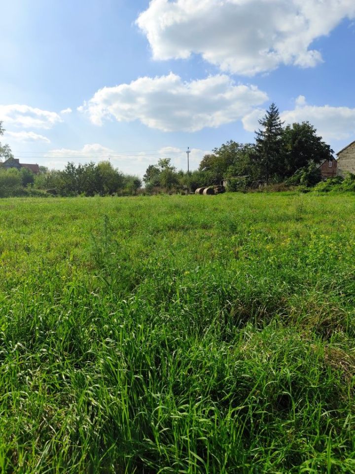 Działka rolno-budowlana Łubki. Zdjęcie 4