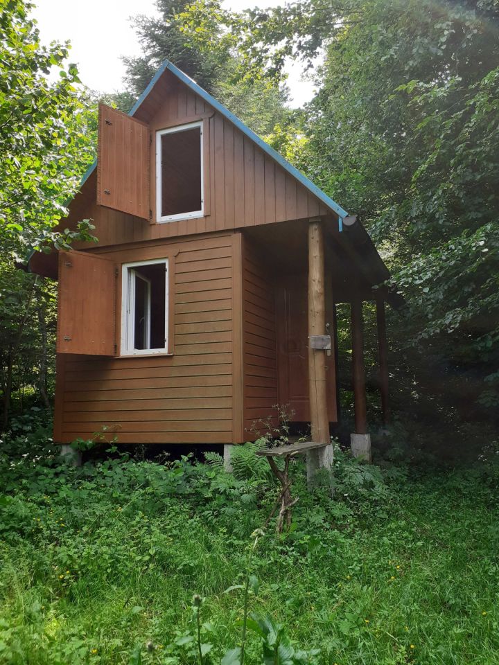 Działka siedliskowa Krzywe. Zdjęcie 3