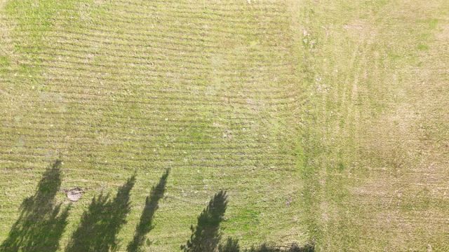 Działka budowlana Semlin, os. Leśne. Zdjęcie 14