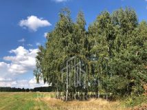 Działka siedliskowa Gołąb. Zdjęcie 4