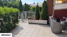 Mieszkanie 2-pokojowe Świdnica, ul. Świerkowa. Zdjęcie 3