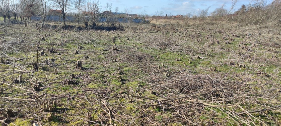 Działka budowlana Przybroda. Zdjęcie 7