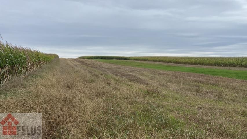 Działka rolna Czułówek. Zdjęcie 4