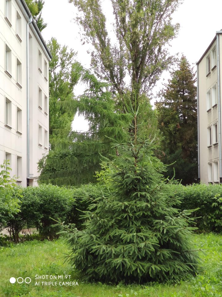 Mieszkanie 2-pokojowe Warszawa Mokotów, ul. Antoniego Józefa Madalińskiego. Zdjęcie 1