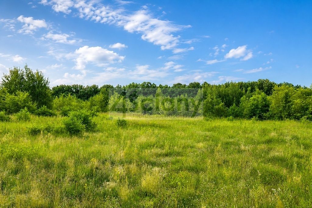 Działka budowlana Runów. Zdjęcie 1