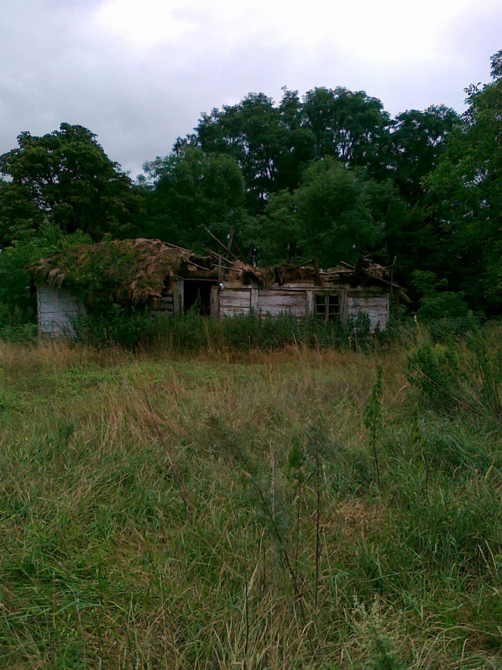 Działka budowlana Antonina. Zdjęcie 3