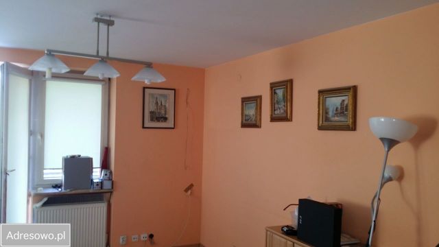 Mieszkanie 3-pokojowe Łódź Polesie. Zdjęcie 1