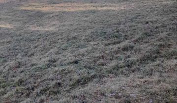 Działka budowlana Las