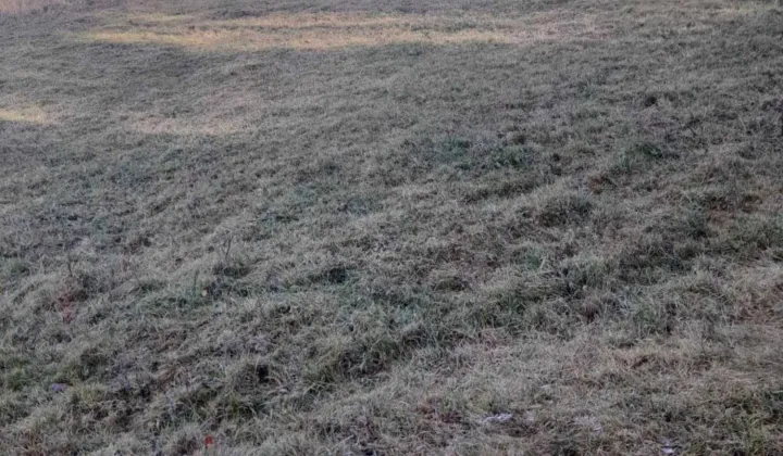 Działka budowlana Las