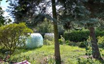 Działka rod Łódź Śródmieście. Zdjęcie 3