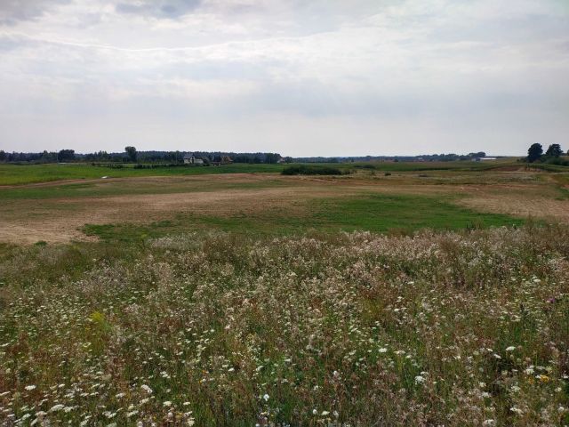 Działka rolno-budowlana Chrzanowo. Zdjęcie 1