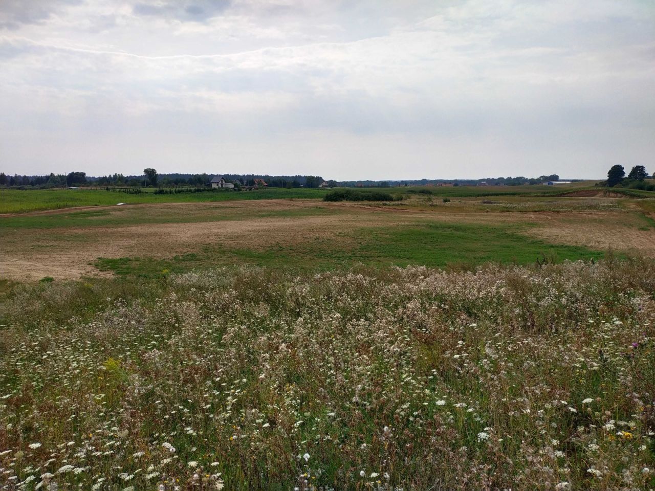 Działka rolno-budowlana Chrzanowo