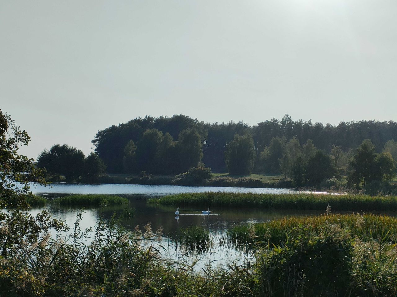 Działka budowlana Nowe Miasto. Zdjęcie 4