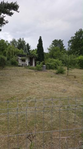 Działka rod Gorzów Wielkopolski, ul. Żwirowa. Zdjęcie 1