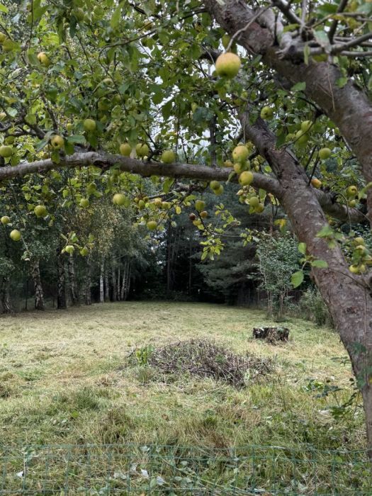 Działka budowlana Potęgowo, ul. Racławicka. Zdjęcie 9