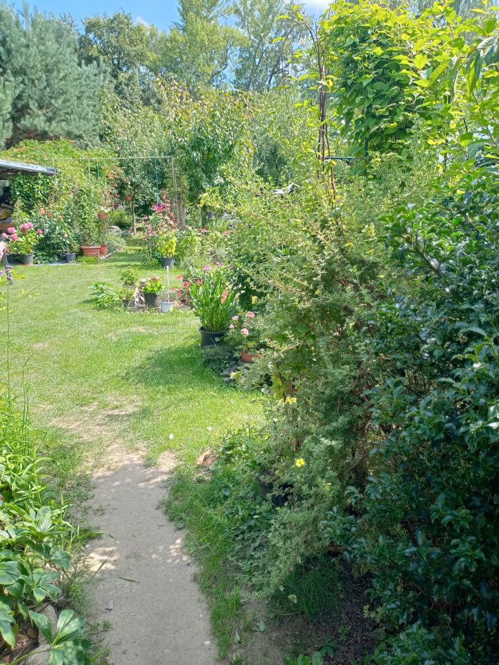 Działka rekreacyjna Wrocław Bierdzany, ul. Nizinna. Zdjęcie 22