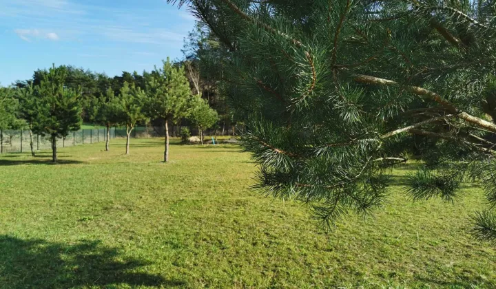 Działka rekreacyjna Stary Strachocin